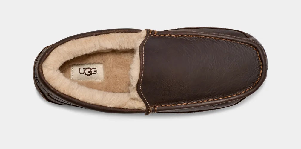 Ascot Matte Leather