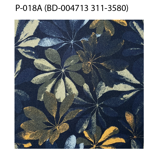 Organic Navy Lily