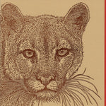 Load image into Gallery viewer, Cougar Mountain Lion Card