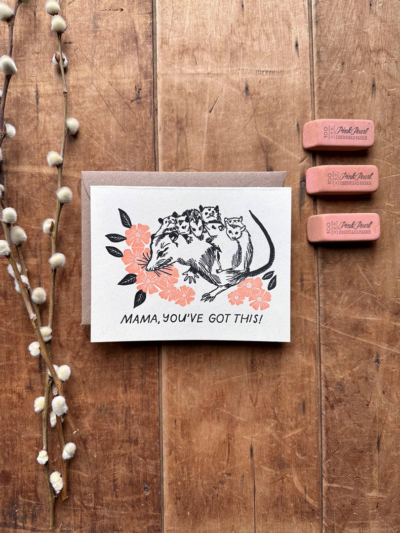 Possum Mama You've Got This