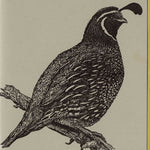 Load image into Gallery viewer, California Quail Card