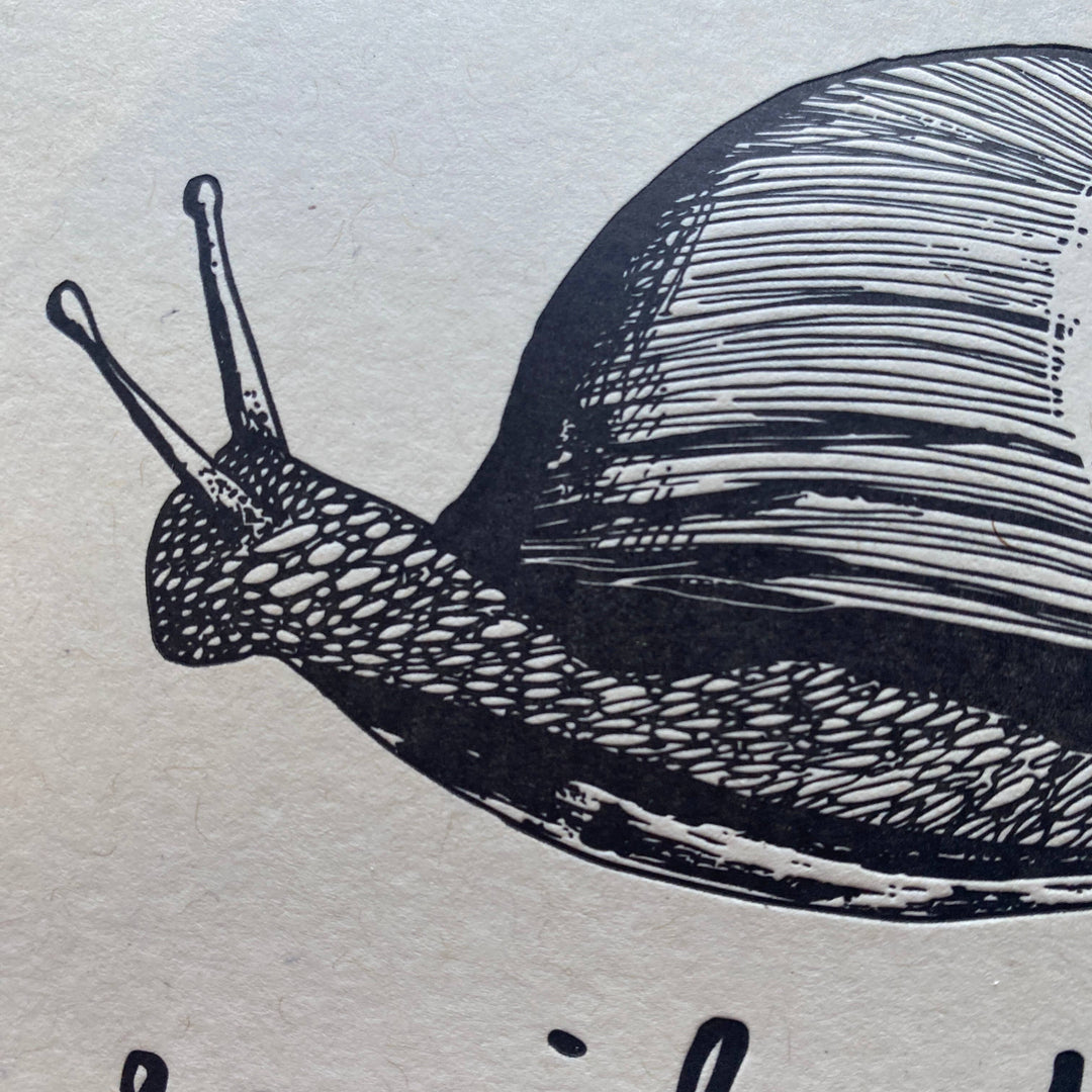 Snailed It Card