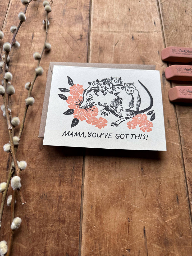 Possum Mama You've Got This