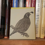 Load image into Gallery viewer, California Quail Card