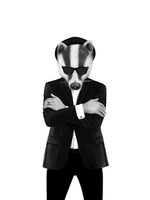 Load image into Gallery viewer, Blues Badger