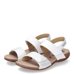 Load image into Gallery viewer, Agave