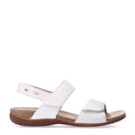 Load image into Gallery viewer, Agave