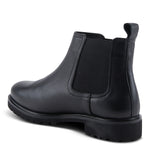 Load image into Gallery viewer, Burmilla