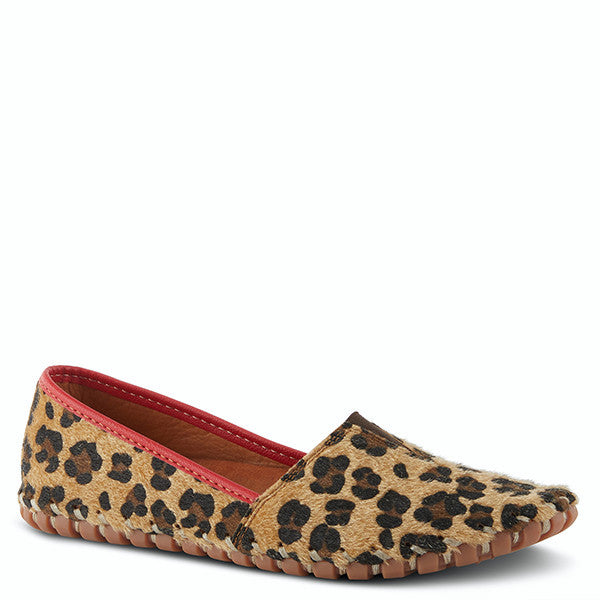 Kathaleta Leopard