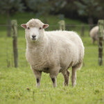 Load image into Gallery viewer, Assorted Fur Scraps