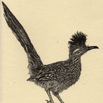 Load image into Gallery viewer, Greater Roadrunner Card