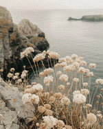 Load image into Gallery viewer, Coastal Cowgirl Roll On Perfume Oil