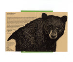 Load image into Gallery viewer, Black Bear Card