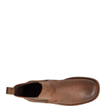 Load image into Gallery viewer, Hemlock