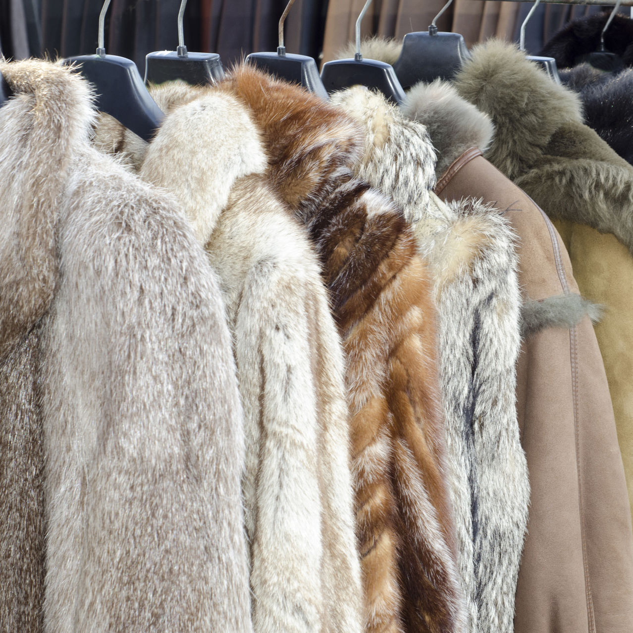 The Evolution of Leather and Fur in Fashion: From History to Modern Trends