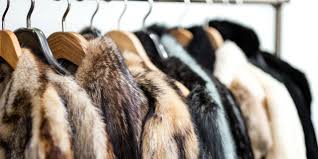 The Hidden Meanings Behind Leather and Fur in Different Cultures