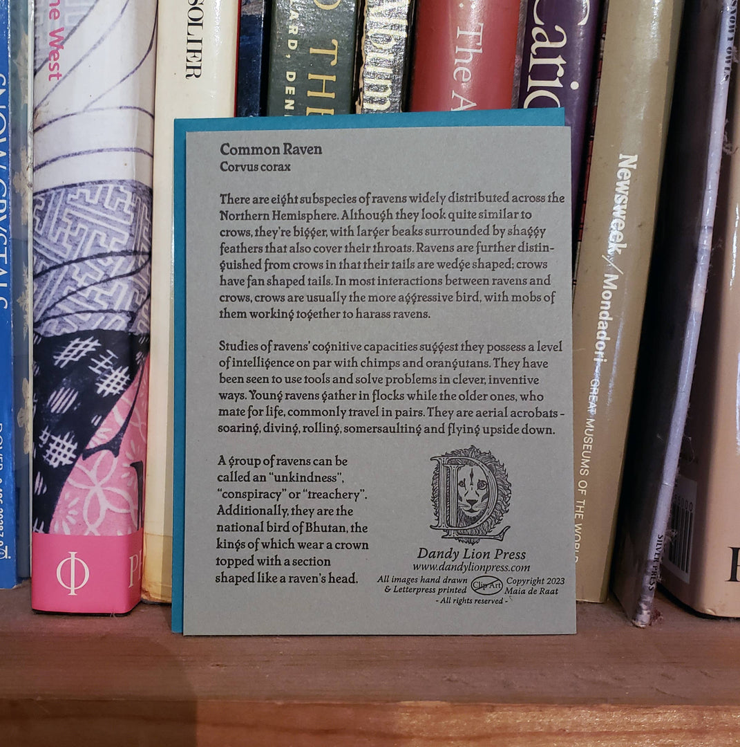 Common Raven Card