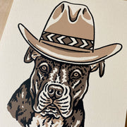 Pit Bull Cowdog