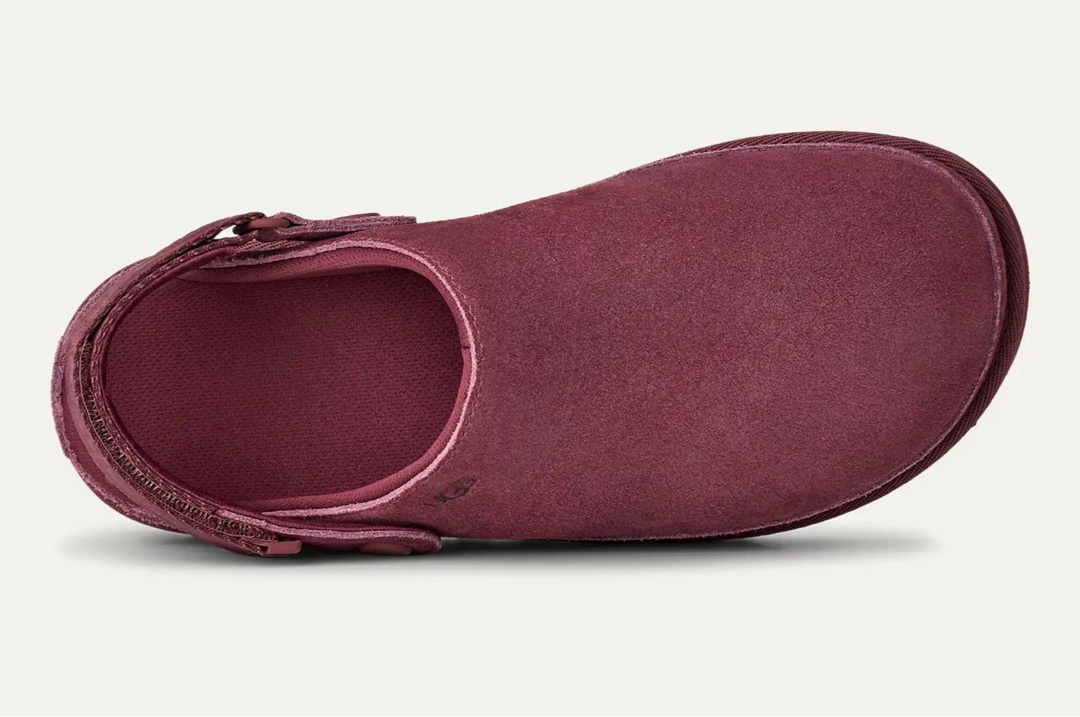 Goldenstar Clog