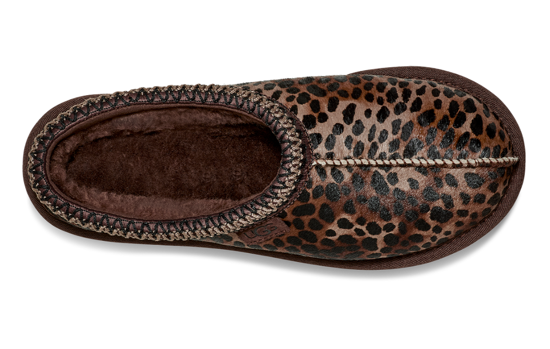 Tasman Caspian