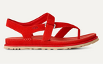 Load image into Gallery viewer, GoldenGaze Toe Post