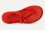 Load image into Gallery viewer, GoldenGaze Toe Post
