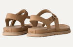 Load image into Gallery viewer, GoldenGaze Toe Post