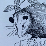 Load image into Gallery viewer, Possum &amp; Native Flowers 11x14 Print
