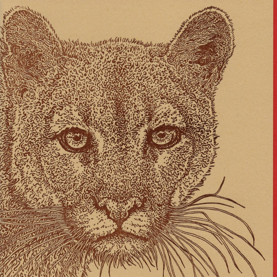 Cougar Mountain Lion Card