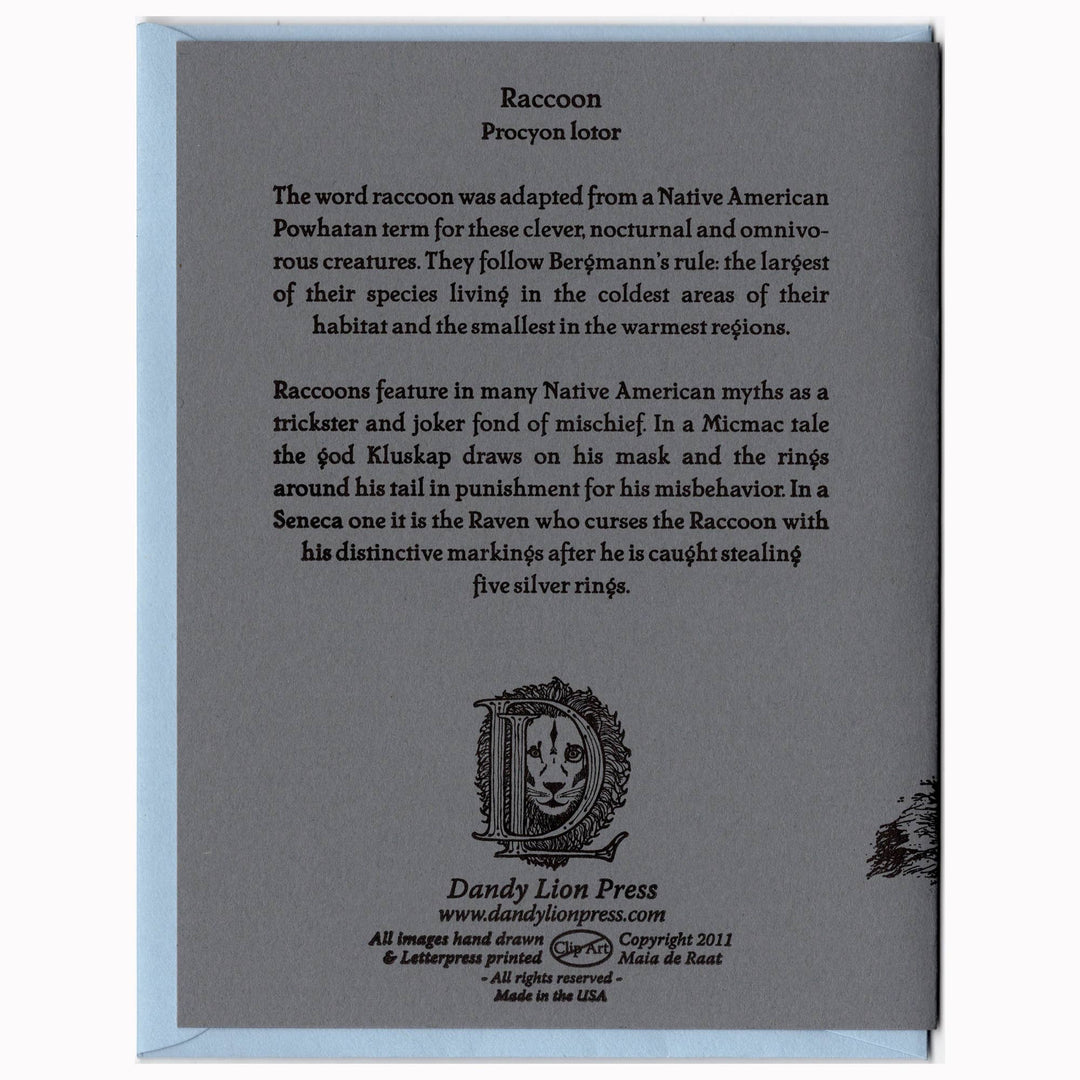 Raccoon Card