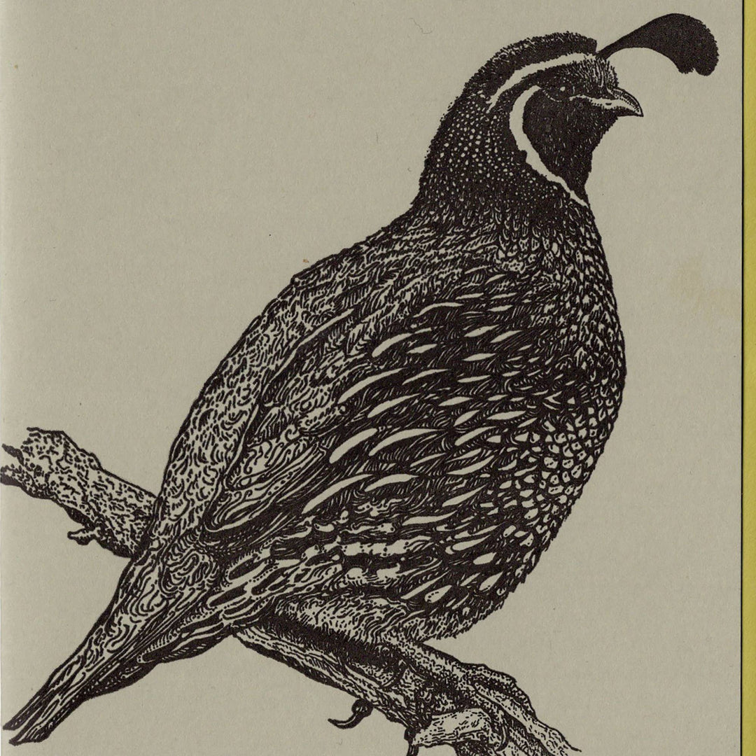 California Quail Card