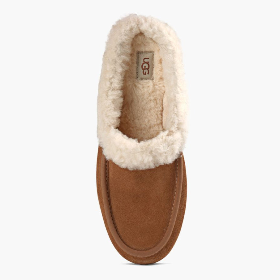 Ansley Mule