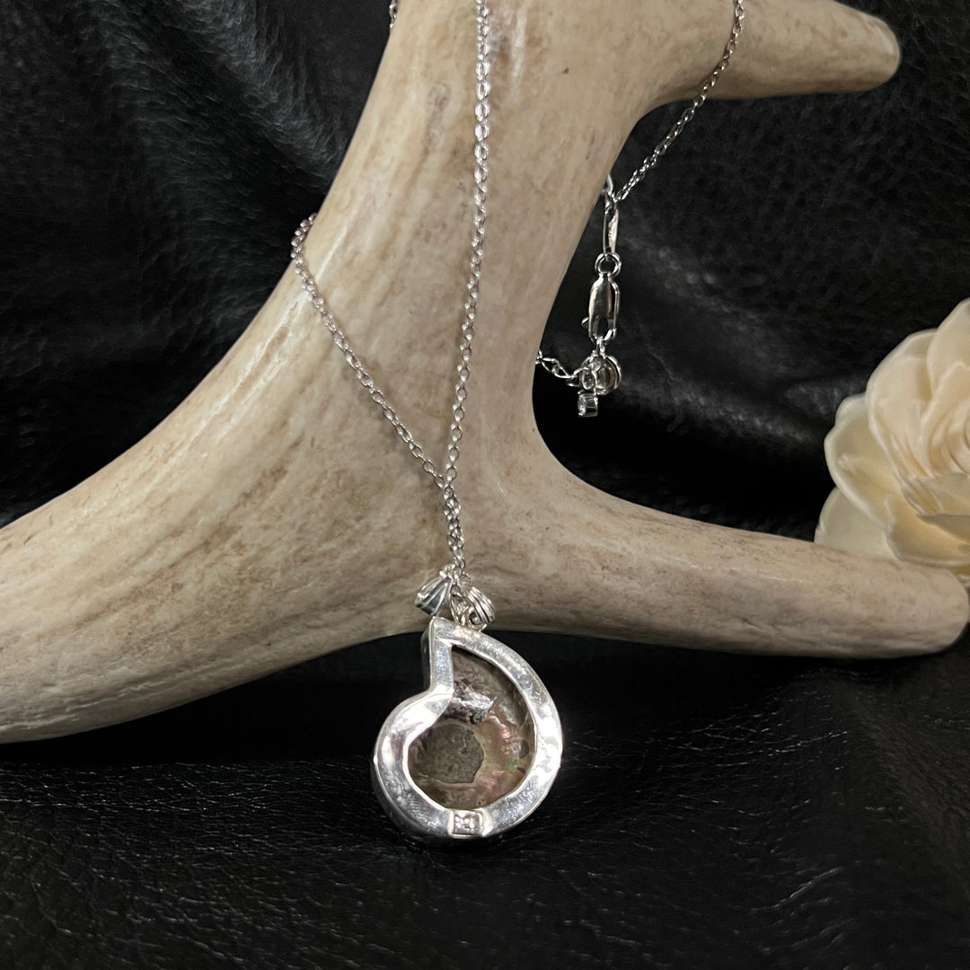 Ammonite