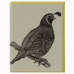 Load image into Gallery viewer, California Quail Card