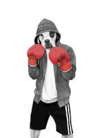 Load image into Gallery viewer, Street Boxer
