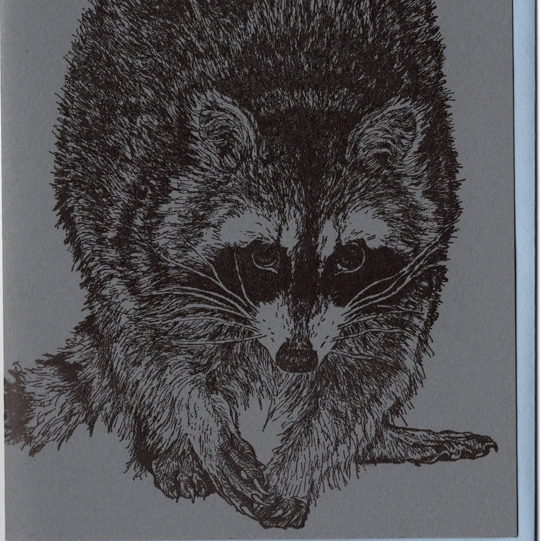 Raccoon Card