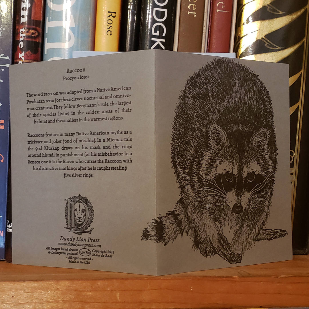 Raccoon Card