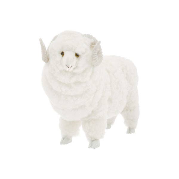 Sheepskin Ram