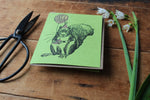 Load image into Gallery viewer, Birthday Squirrel Balloon Card
