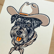 Schnauzer Cowdog