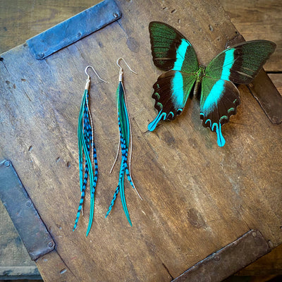 Mini Feather Earrings - Turquoise Grizzly & Silver