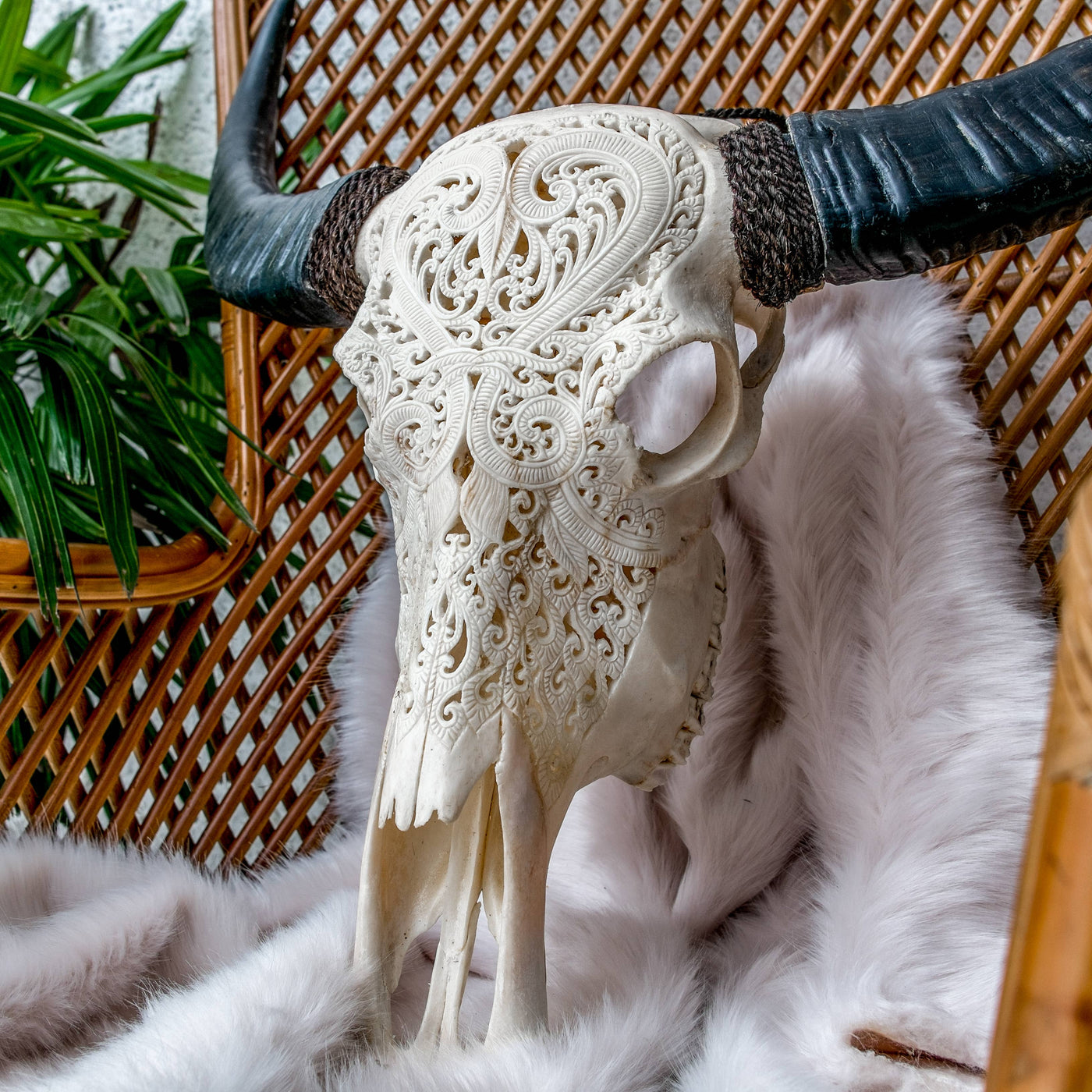 Hand Carved Buffalo Skull - Heart 1