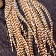 Indian Cent Earrings - Ginger Grizzly