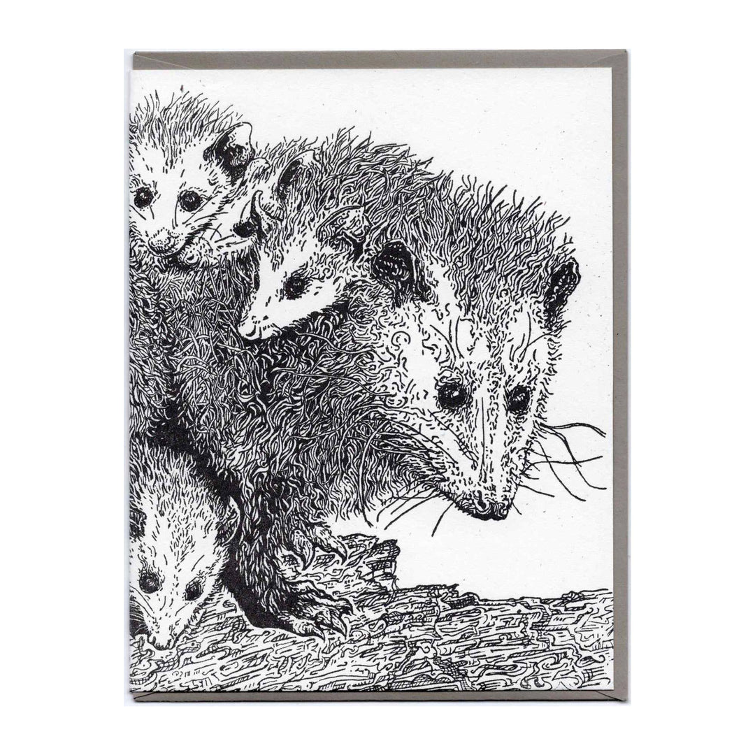 Mother Opossum and Joeys Card
