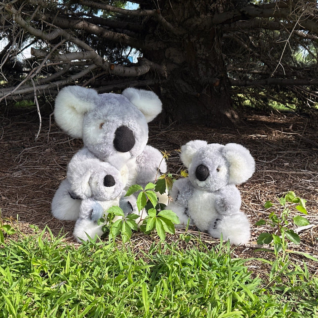 Baby Alpaca Plushy - Koala