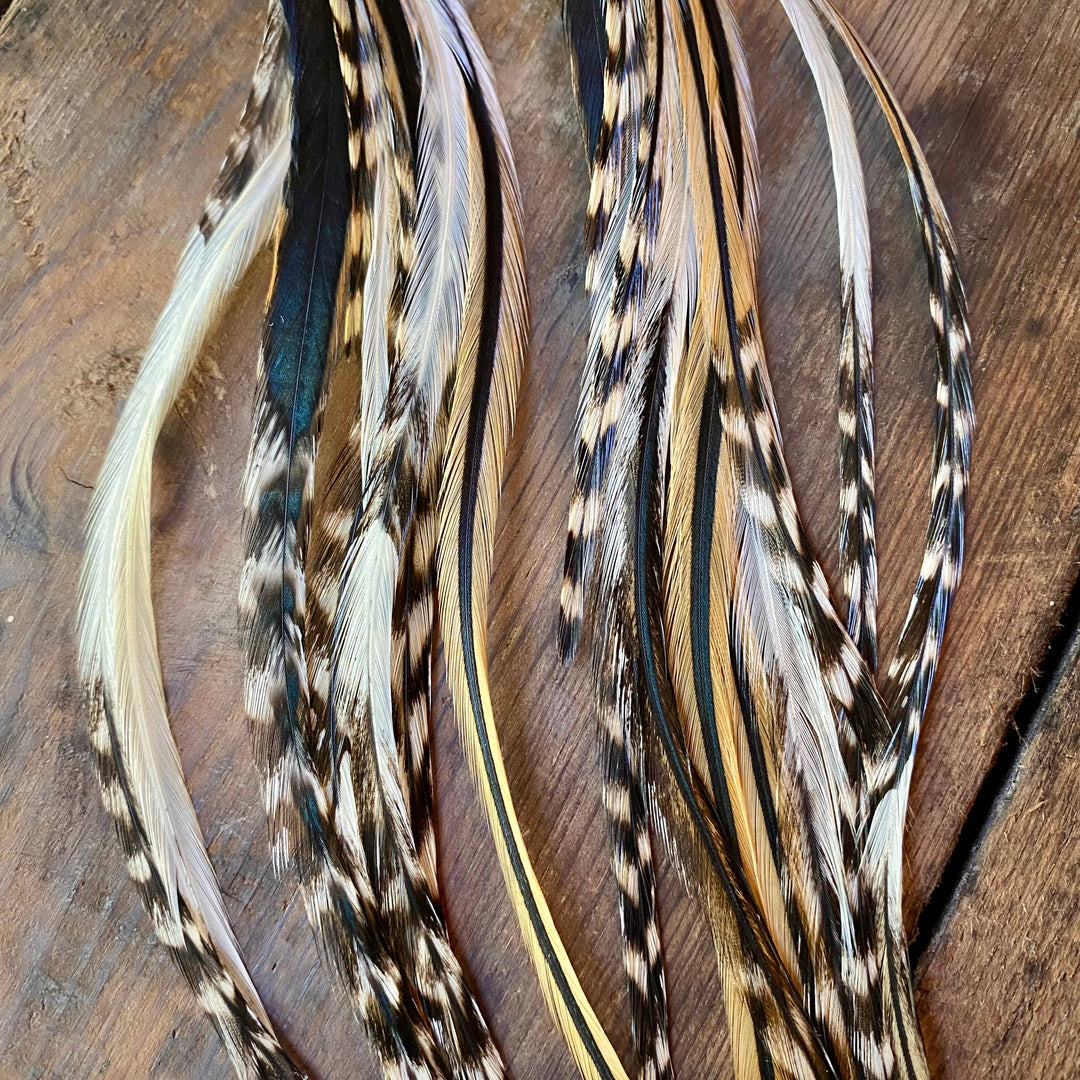 Cone Feather Earrings - Golden Black & Grizzly