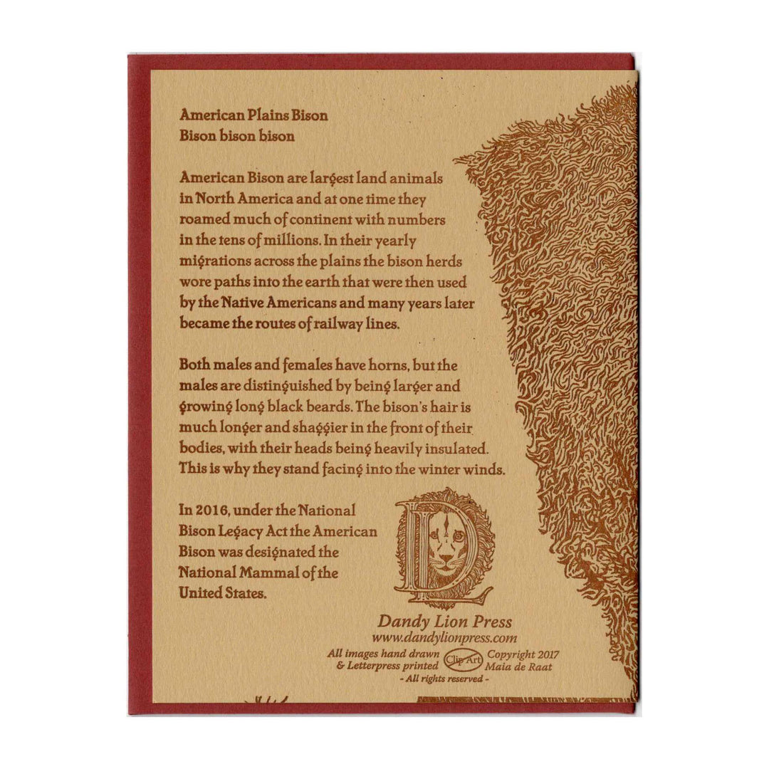 American Plains Bison Card