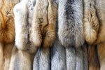 Load image into Gallery viewer, Fur Cleaning
