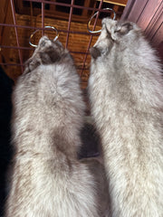 Vintage Fox Pelt with Tail