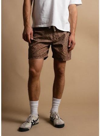 Aztec Boardshorts